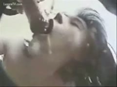 An enormous, black Great Dane is harassing an elderly slutwife from behind.